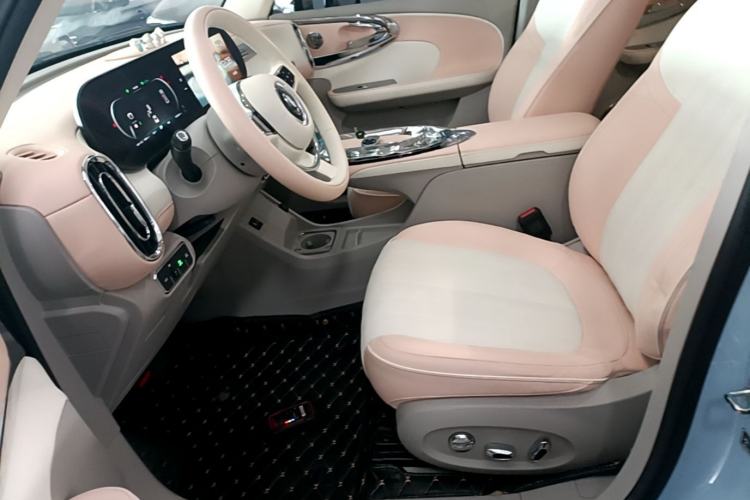 Used ORA Ballet Cat 2022 500 km Swan Lake Edition Left Front Seat