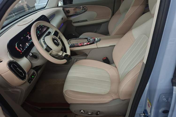 Used ORA Ballet Cat 2022 401 km Nutcracker Edition Left Front Seat