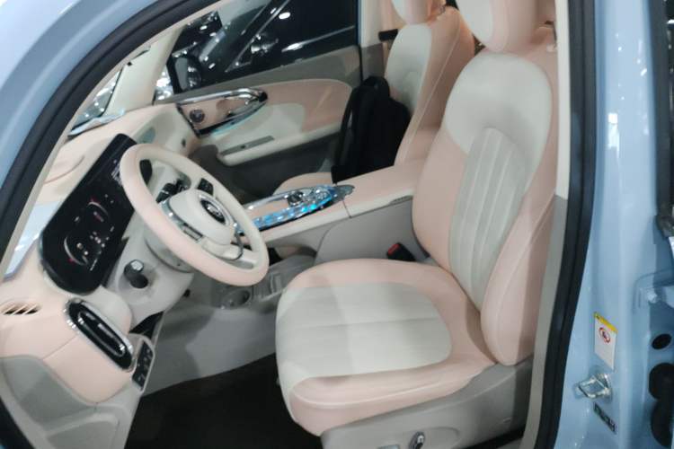Used ORA Ballet Cat 2022 500 km Swan Lake Edition Left Front Seat