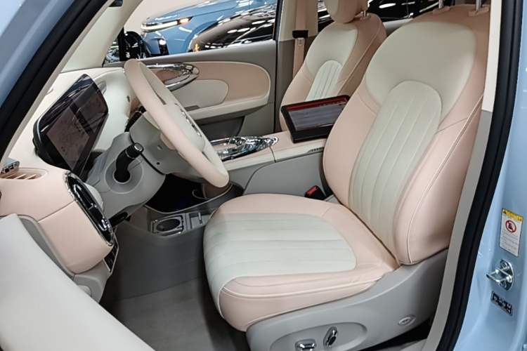 Used ORA Ballet Cat 2022 401 km Nutcracker Edition Left Front Seat