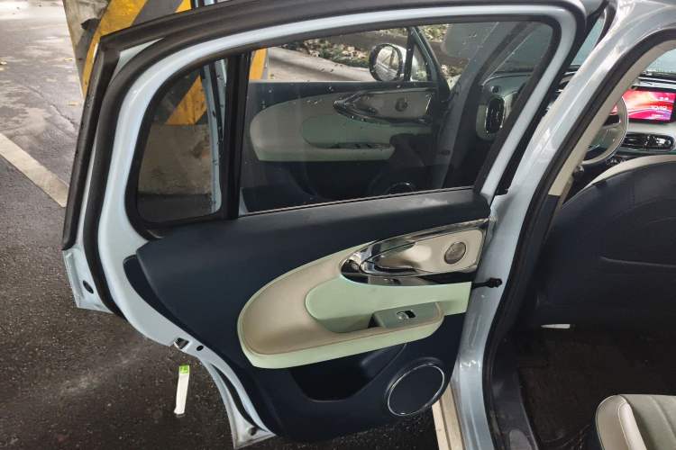 Used ORA Ballet Cat 2022 401 km Nutcracker Edition Left Rear Door Interior