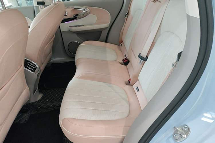Used ORA Ballet Cat 2022 401 km Nutcracker Edition Left Rear Seat