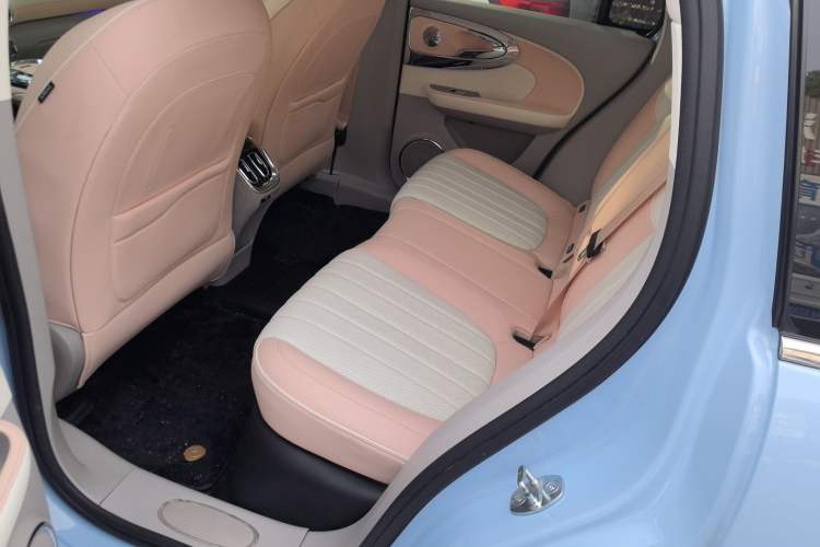 Used ORA Ballet Cat 2022 401 km Nutcracker Edition Left Rear Seat