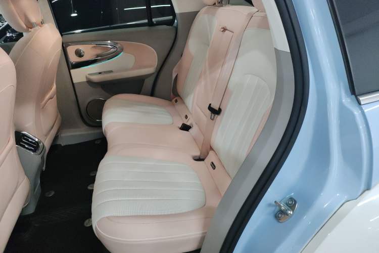 Used ORA Ballet Cat 2022 500 km Swan Lake Edition Left Rear Seat