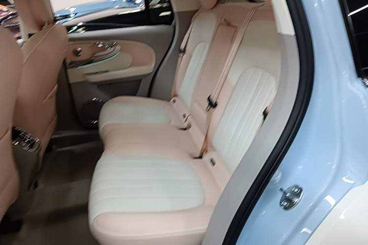 Used ORA Ballet Cat 2022 401 km Nutcracker Edition Left Rear Seat