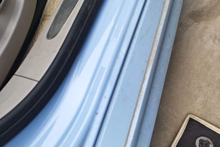 Used ORA Ballet Cat 2022 401 km Nutcracker Edition Left Side Sill