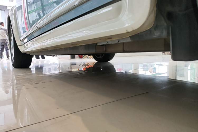 Used ORA Ballet Cat 2022 401 km Nutcracker Edition Left Side Sill