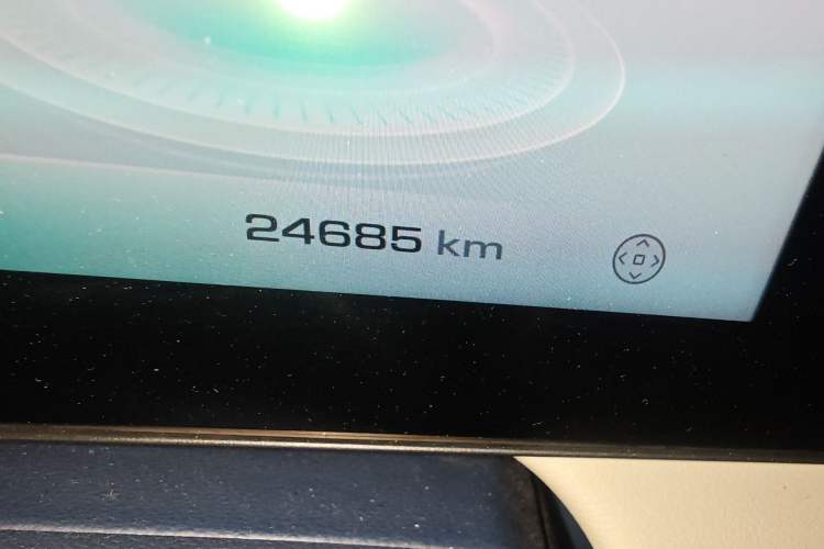 Used ORA Ballet Cat 2022 401 km Alice Edition Odometer Close Up