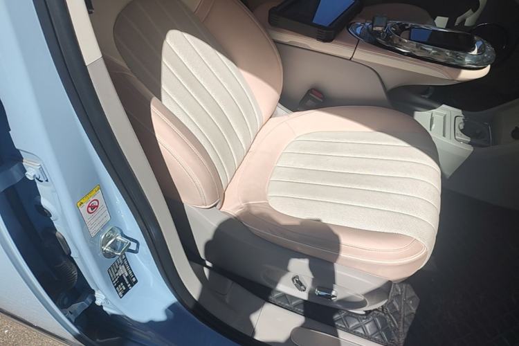 Used ORA Ballet Cat 2022 401 km Nutcracker Edition Right Front Seat