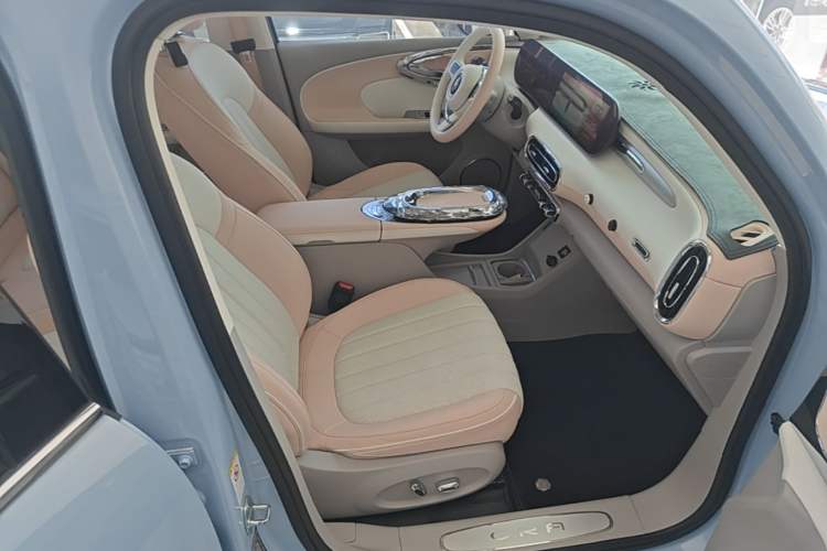 Used ORA Ballet Cat 2022 401 km Nutcracker Edition Right Front Seat