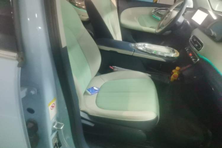 Used ORA Ballet Cat 2022 401 km Alice Edition Right Front Seat