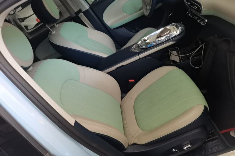 Used ORA Ballet Cat 2022 401 km Nutcracker Edition Right Front Seat