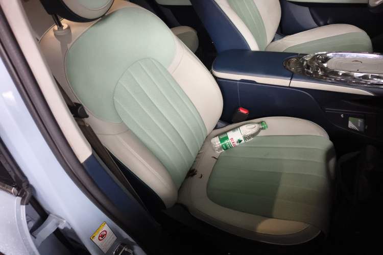 Used ORA Ballet Cat 2022 401 km Nutcracker Edition Right Front Seat