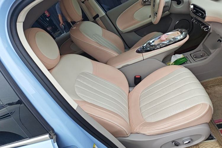 Used ORA Ballet Cat 2022 401 km Nutcracker Edition Right Front Seat