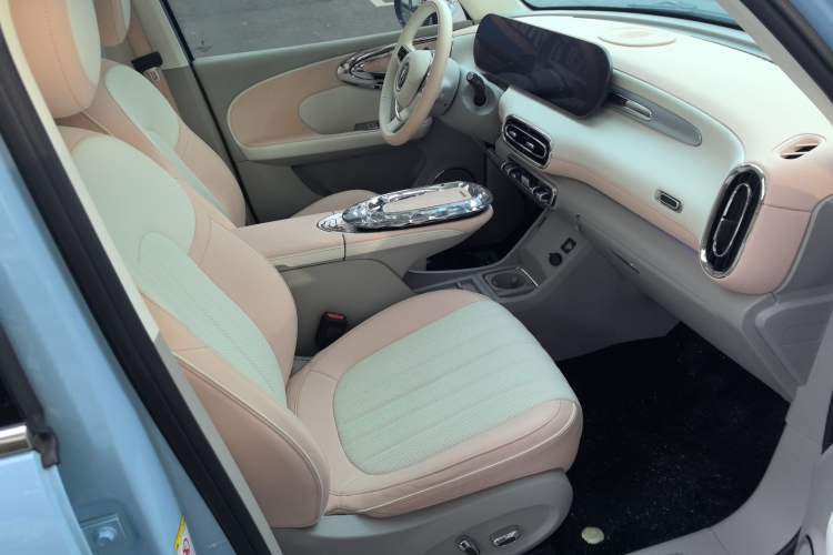 Used ORA Ballet Cat 2022 401 km Nutcracker Edition Right Front Seat