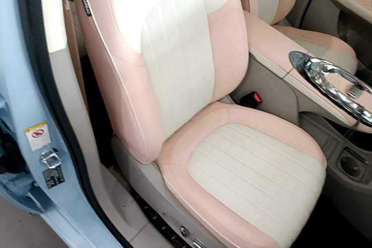 Used ORA Ballet Cat 2022 500 km Swan Lake Edition Right Front Seat