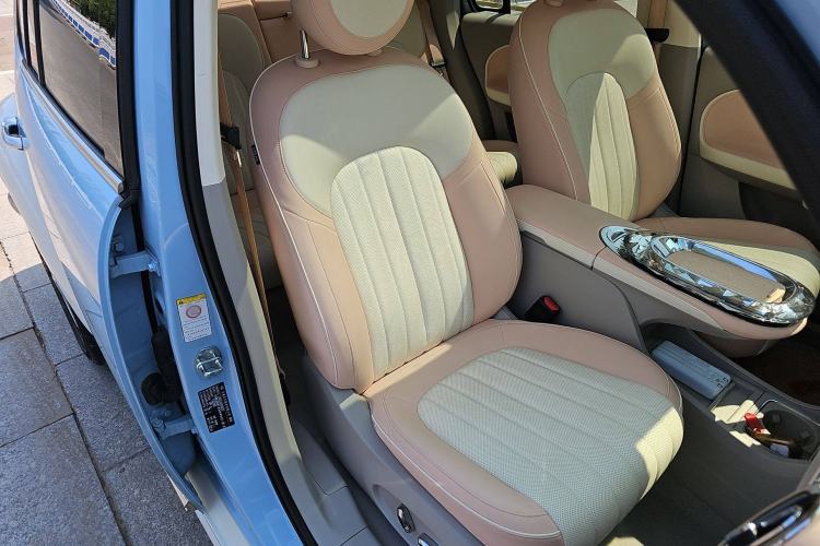 Used ORA Ballet Cat 2022 401 km Nutcracker Edition Right Front Seat