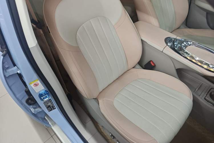Used ORA Ballet Cat 2022 401 km Nutcracker Edition Right Front Seat