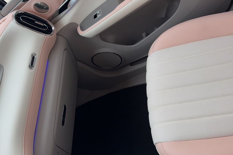 Used ORA Ballet Cat 2022 500 km Swan Lake Edition Right Front Seat