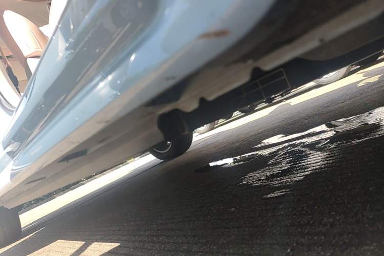 Used ORA Ballet Cat 2022 401 km Nutcracker Edition Right Side Sill