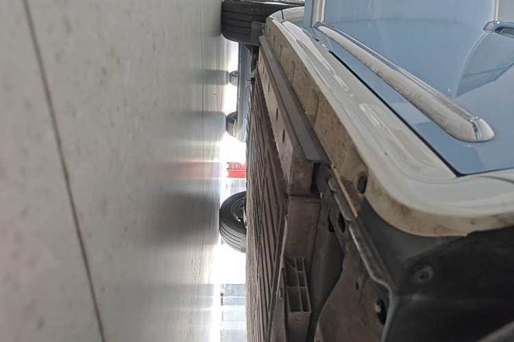 Used ORA Ballet Cat 2022 401 km Nutcracker Edition Right Side Sill