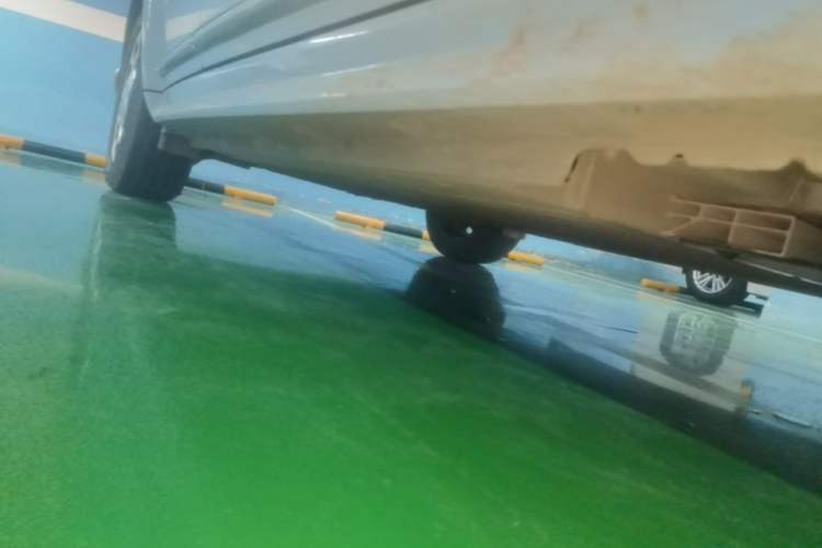 Used ORA Ballet Cat 2022 401 km Alice Edition Right Side Sill