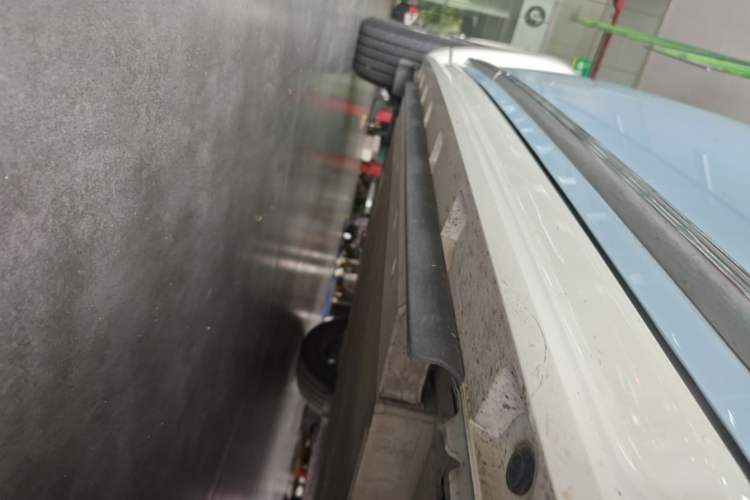 Used ORA Ballet Cat 2022 401 km Alice Edition Right Side Sill