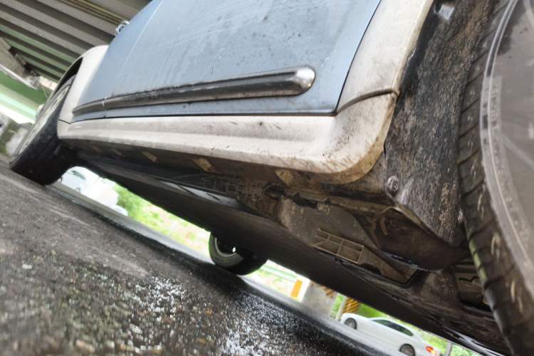 Used ORA Ballet Cat 2022 401 km Nutcracker Edition Right Side Sill