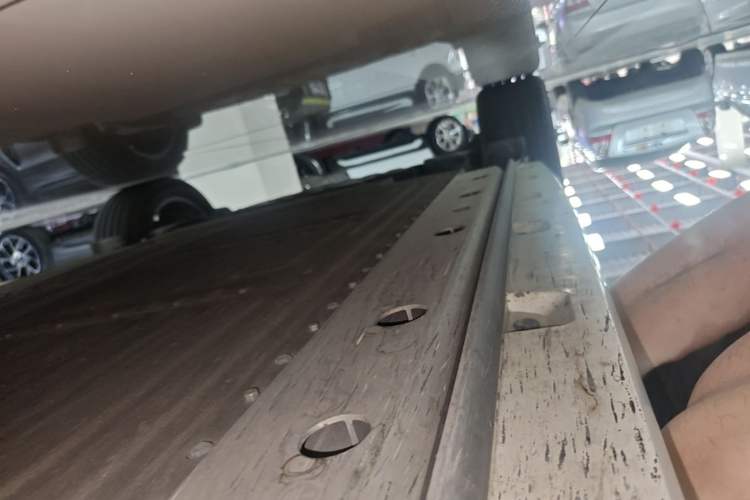 Used ORA Ballet Cat 2022 401 km Nutcracker Edition Right Side Sill