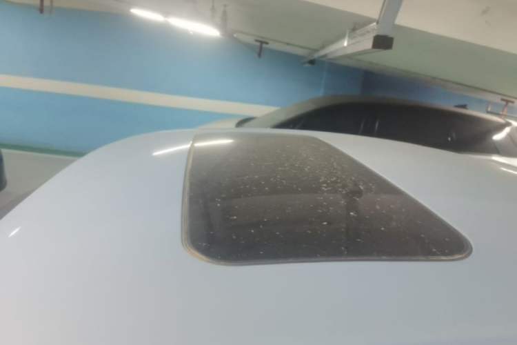 Used ORA Ballet Cat 2022 401 km Alice Edition Roof