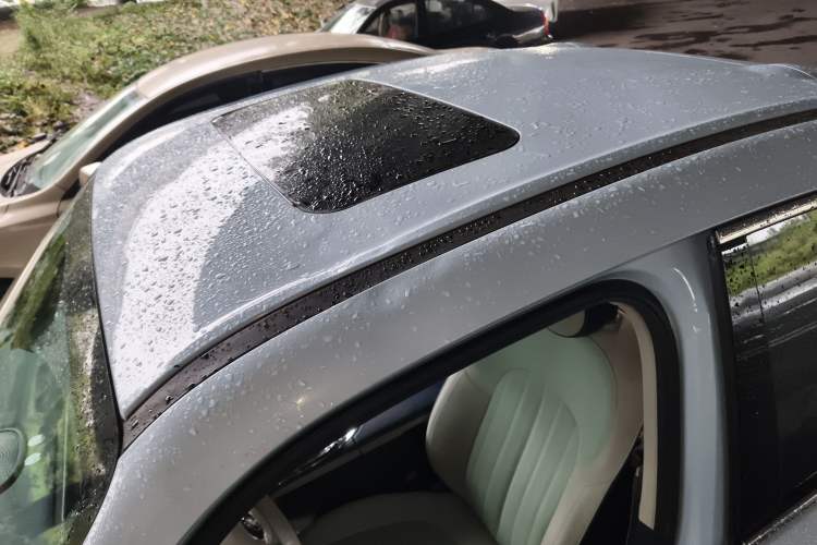 Used ORA Ballet Cat 2022 401 km Nutcracker Edition Roof