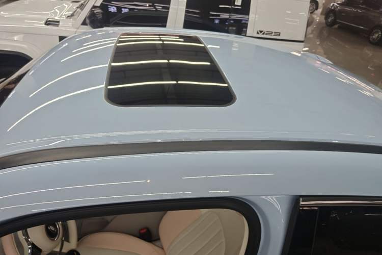 Used ORA Ballet Cat 2022 401 km Nutcracker Edition Roof