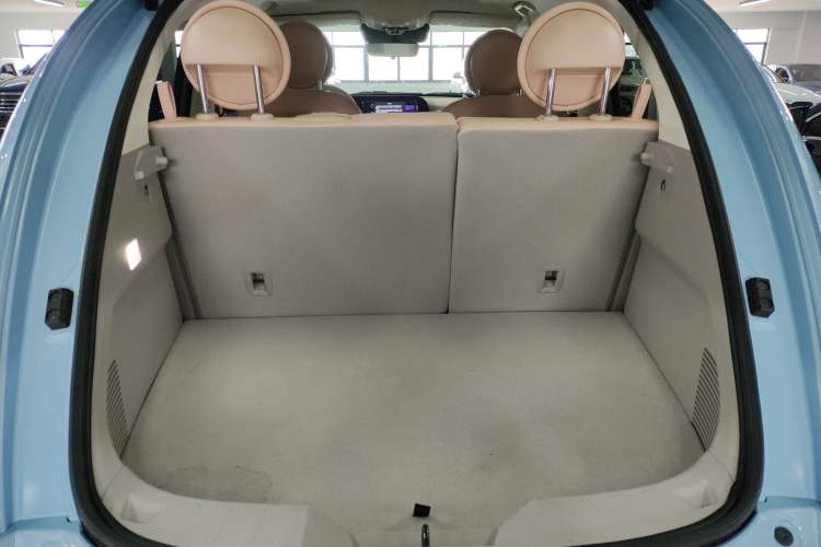 Used ORA Ballet Cat 2022 500 km Swan Lake Edition Trunk