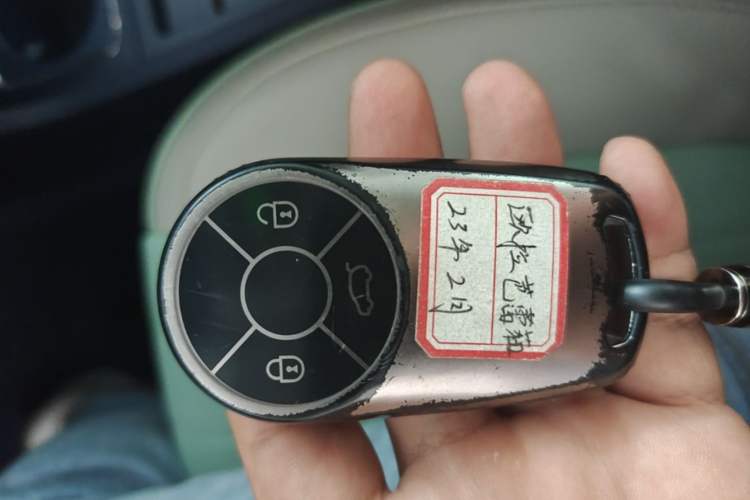 Used ORA Ballet Cat 2022 401 km Alice Edition Vehicle Key
