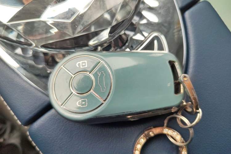 Used ORA Ballet Cat 2022 401 km Alice Edition Vehicle Key