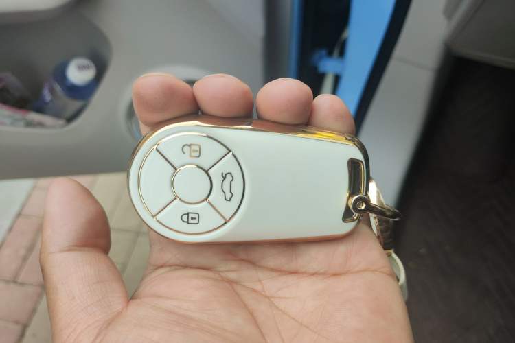 Used ORA Ballet Cat 2022 401 km Nutcracker Edition Vehicle Key