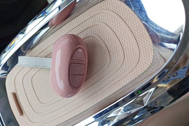 Used ORA Ballet Cat 2022 401 km Nutcracker Edition Vehicle Key