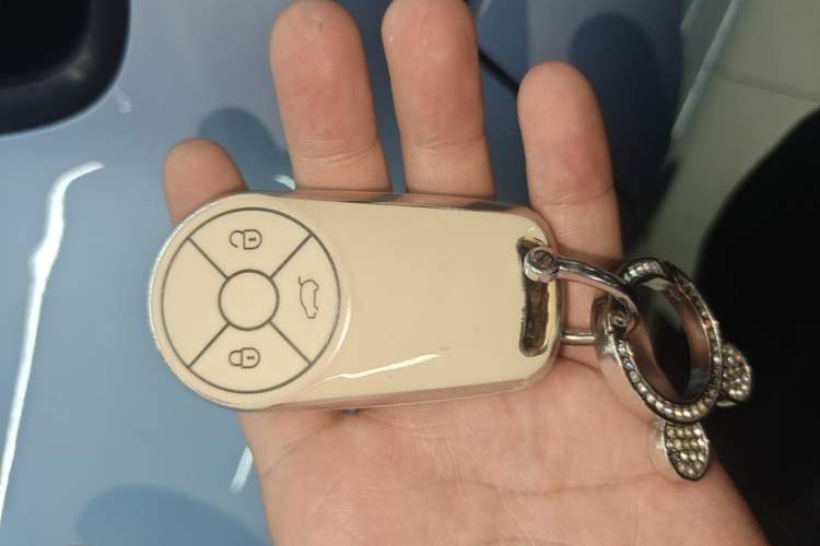 Used ORA Ballet Cat 2022 401 km Nutcracker Edition Vehicle Key