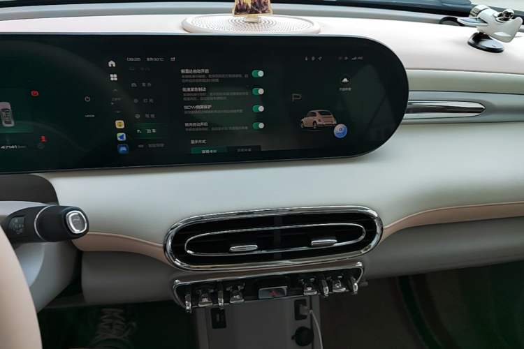 Used ORA Ballet Cat 2022 401 km Nutcracker Edition Audio And AC Panel
