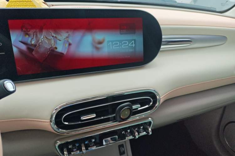 Used ORA Ballet Cat 2022 401 km Nutcracker Edition Audio And AC Panel