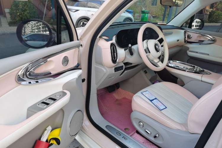 Used ORA Ballet Cat 2022 500 km Swan Lake Edition Driver Seat