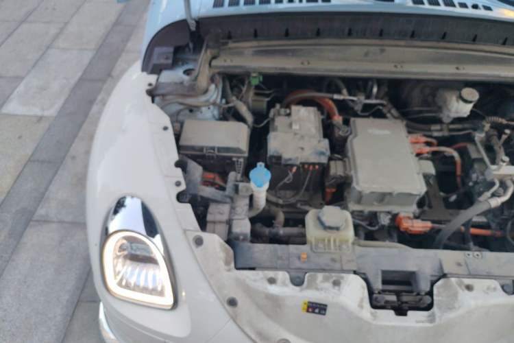 Used ORA Ballet Cat 2022 401 km Nutcracker Edition Engine Bay Right