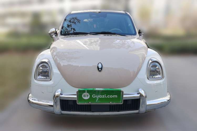 Used ORA Ballet Cat 2022 500 km Swan Lake Edition Front