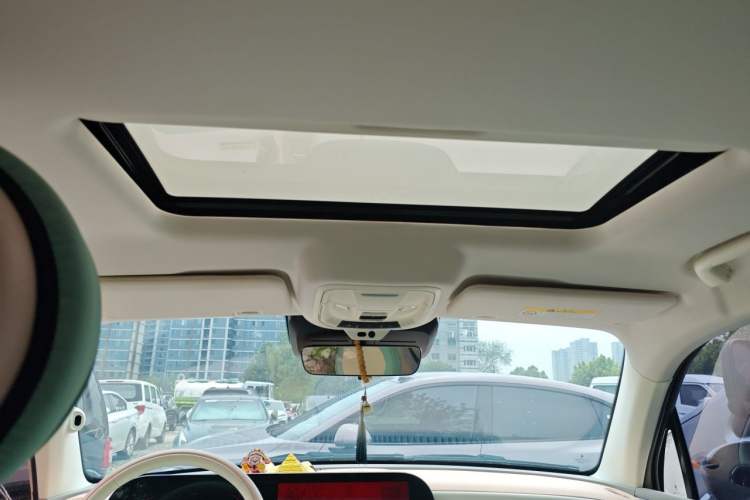 Used ORA Ballet Cat 2022 401 km Nutcracker Edition Headliner