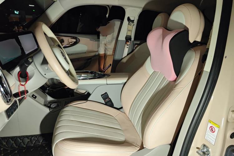 Used ORA Ballet Cat 2022 401 km Nutcracker Edition Left Front Seat