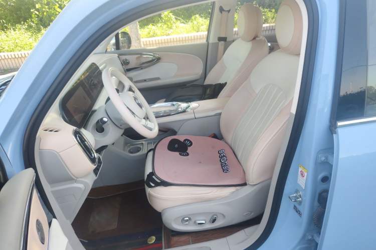 Used ORA Ballet Cat 2022 401 km Nutcracker Edition Left Front Seat