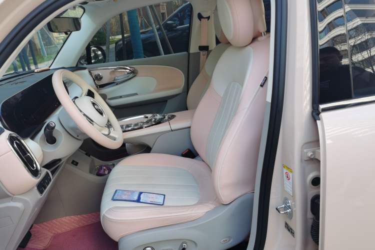 Used ORA Ballet Cat 2022 500 km Swan Lake Edition Left Front Seat