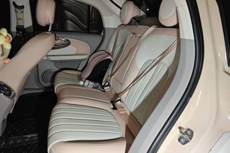 Used ORA Ballet Cat 2022 401 km Nutcracker Edition Left Rear Seat