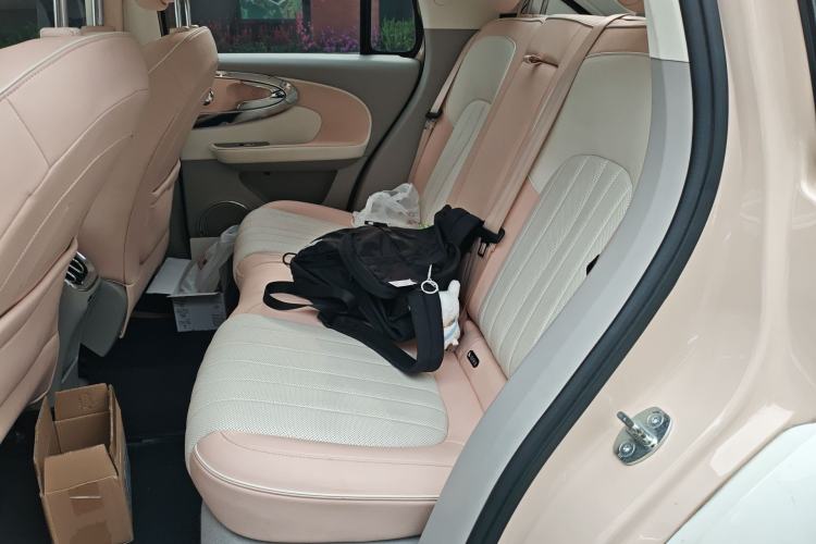 Used ORA Ballet Cat 2022 401 km Nutcracker Edition Left Rear Seat