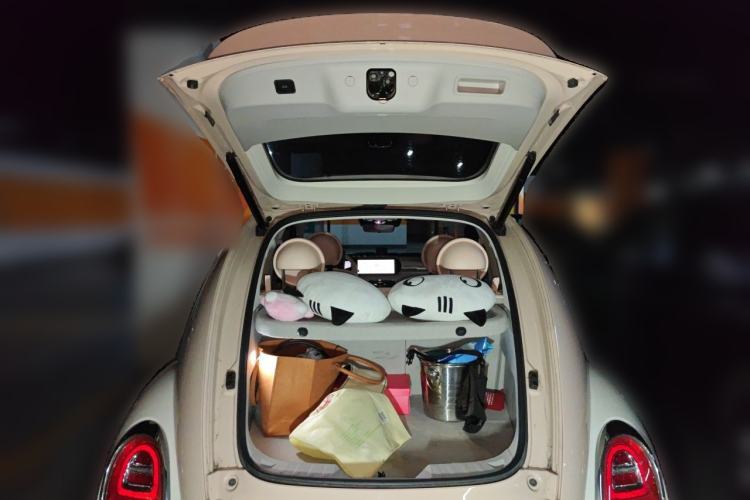 Used ORA Ballet Cat 2022 401 km Nutcracker Edition Trunk